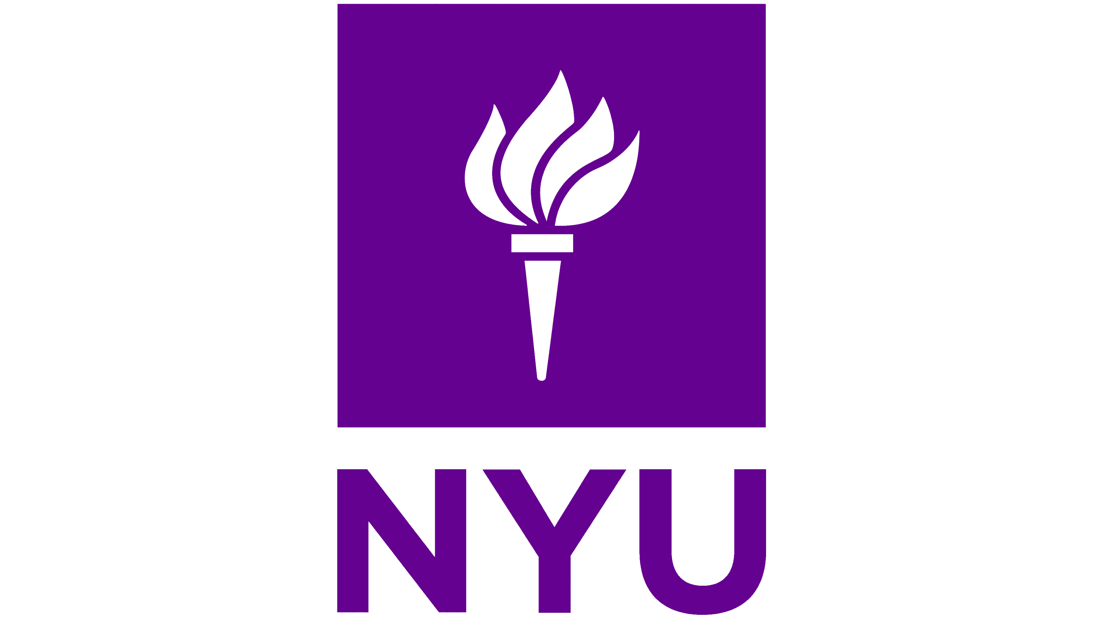 New York University